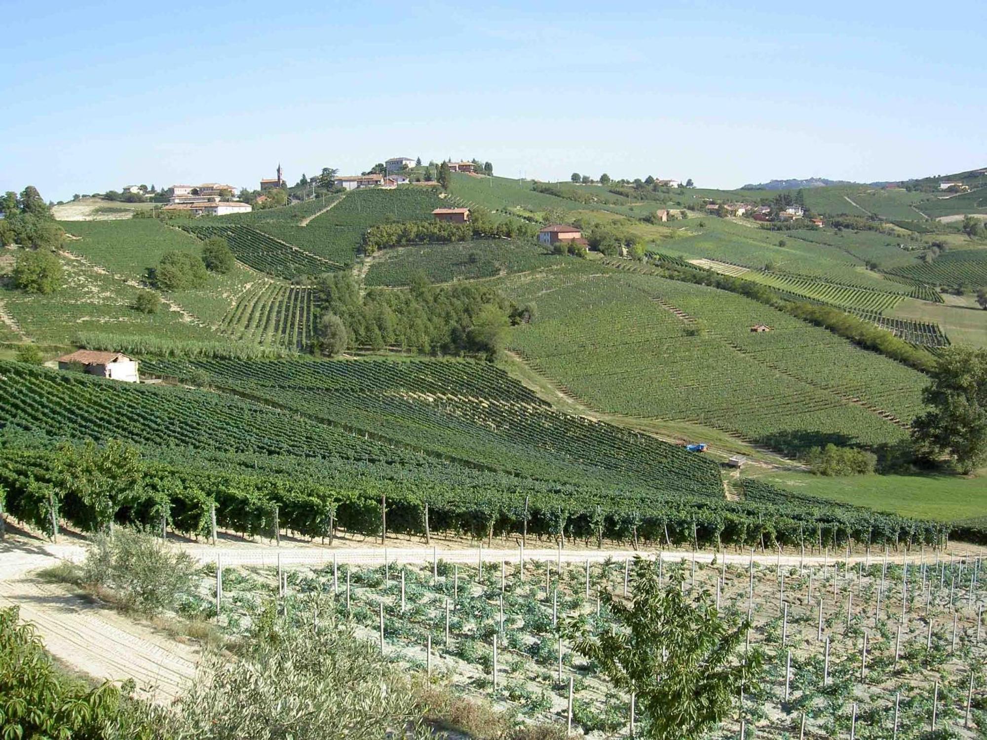 Vila Agriturismo Vecchio Torchio Canelli Exteriér fotografie