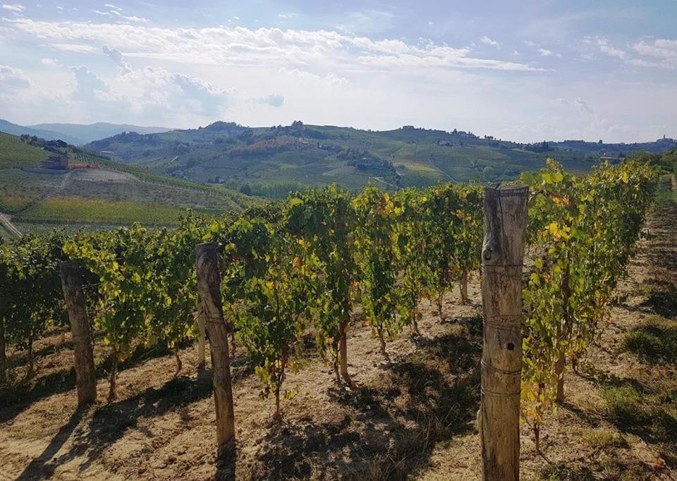 Vila Agriturismo Vecchio Torchio Canelli Exteriér fotografie